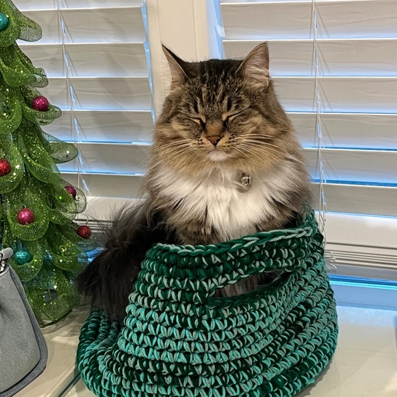 Handbags - Unlisted for live show